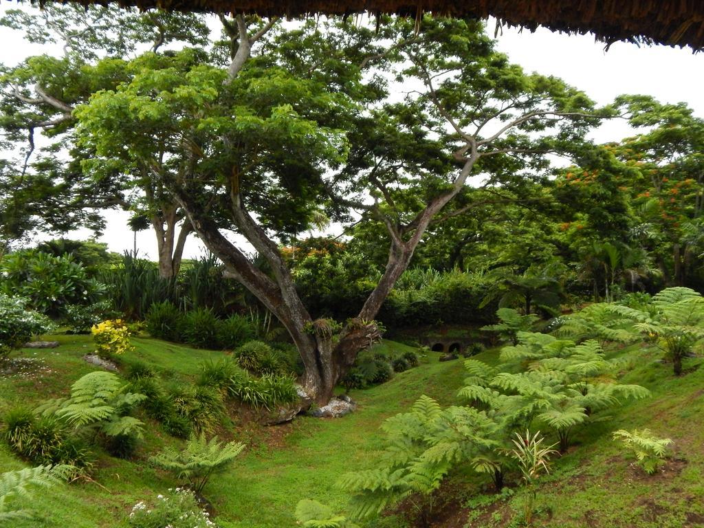 Taveuni Dive Resort Waiyevo Екстер'єр фото